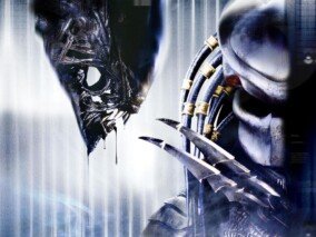 Alien Vs Predator Wallpaper 2