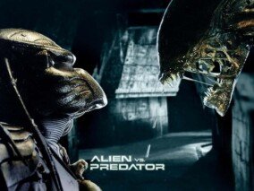 Alien Vs Predator Wallpaper 5