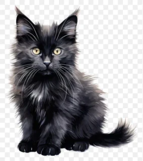 Black Cat Png 1