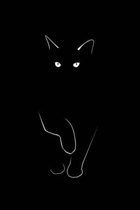 Cat Black Wallpaper 2