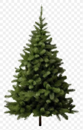 Christmas Tree Png 1