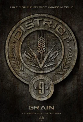 District 9 Hunger Games 3