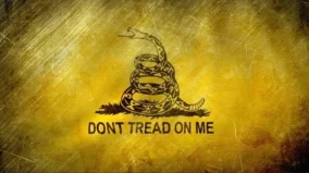 Dont Tread On Me Wallpaper 5