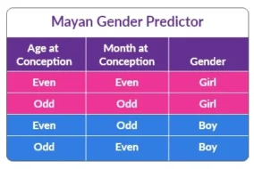 Mayan Calendar Baby Gender 2023 To 2024 For Baby Boy 3