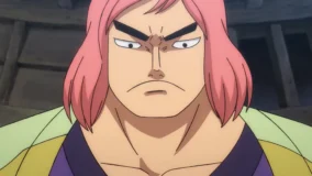 One Piece Pink Hair 4