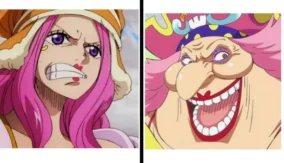 One Piece Pink Hair 5
