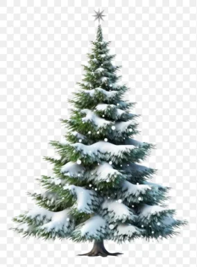 Png Christmas Tree 0