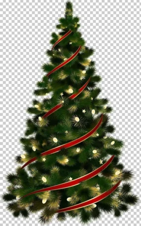 Png Christmas Tree 3