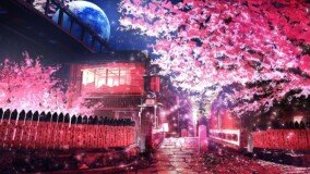 Sakura Tree Anime Wallpaper 0
