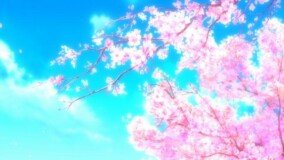 Sakura Tree Anime Wallpaper 1