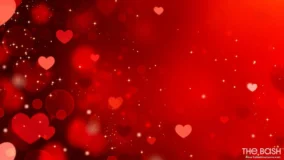 Valentines Day Background Images 2