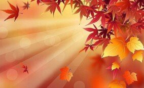 Wallpapers Autumn Free 0