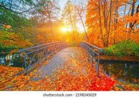Wallpapers Autumn Free 2