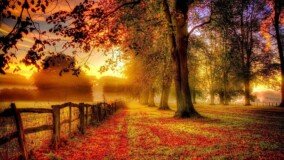 Wallpapers Autumn Free 3