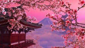 Wallpapers Sakura Tree 0