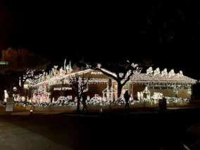Willow Glen Christmas Lights 1