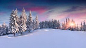 Winter Landscape Wallpapers 0