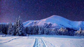 Winter Scenery Desktop Wallpaper 0