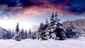 Winter Scenery Desktop Wallpaper 4