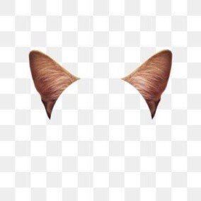 cat ears transparent png 3