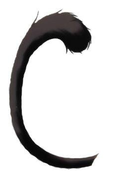 cat tail png 0