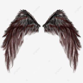 devil wings png 3