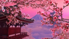 Cherry Blossom Tree Desktop Wallpaper 1