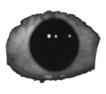 Creepy Eyes PNG 1